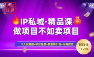 2025年“IP私域·密训精品课”，日赚3000+小白避坑年赚百万，暴力引流…-黑斯坦丁项目网