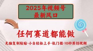 2025年视频号新风口，低门槛只需要无脑执行-黑斯坦丁项目网