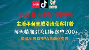 小红书、抖音、视频号全域多平台引流获客，日引目标客户200+，RPA自动…-黑斯坦丁项目网