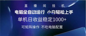 2025直播间最新玩法单机日入1000+ 全自动运行 可矩阵操作-黑斯坦丁项目网