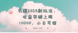 书旗2025新玩法，收益突破上限10000，小白可做-黑斯坦丁项目网