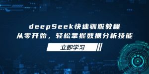 deepSeek快速驯服教程，从零开始，轻松掌握数据分析技能-黑斯坦丁项目网
