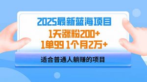 2025蓝海项目 1天涨粉200+ 1单99 1个月2万+-黑斯坦丁项目网
