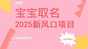 2025新风口项目宝宝取名，0成本高利润，附保姆级教程，月入过万不是梦-黑斯坦丁项目网