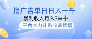 撸广告躺赚，单设备日入1000+，月入3w+，今年最强撸广告上线-黑斯坦丁项目网