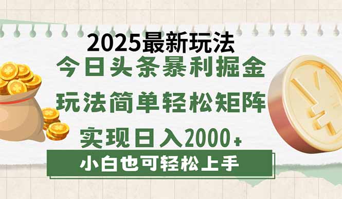 今日头条2025最新玩法,思路简单,复制粘贴,轻松实现矩阵日入2000+-黑斯坦丁项目网