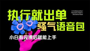 爆火全网的开车导航骚气语音包,只要执行就出单，小白看完课程就能实操…-黑斯坦丁项目网