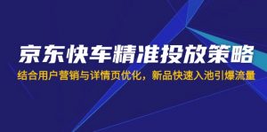 京东快车精准投放策略，结合用户营销与详情页优化，新品快速入池引爆流量-黑斯坦丁项目网