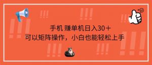 手机赚单机日入30＋，可以矩阵操作，小白也能轻松上手-黑斯坦丁项目网