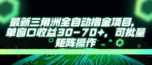 最新三角洲全自动撸金项目，单窗口收益30-70+，可批量矩阵操作-黑斯坦丁项目网