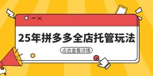 25年拼多多全店托管玩法,矩阵动销裂变玩法如何低风险盈利 新手运营秘籍-黑斯坦丁项目网