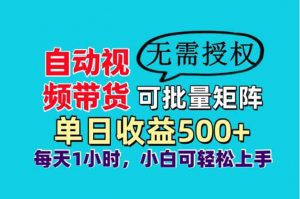 自动视频带货，可批量矩阵，单日收益500+、轻松实现睡后收益，小白可…-黑斯坦丁项目网