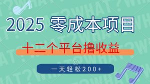 2025年零成本项目，十二个平台撸收益，单号一天轻松200+-黑斯坦丁项目网