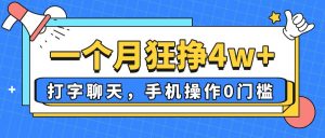 一个月狂挣4w+，打字聊天，手机操作0门槛，新手小白都能做！-黑斯坦丁项目网
