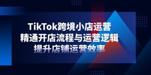 TikTok跨境小店运营，精通开店流程与运营逻辑，提升店铺运营效率-黑斯坦丁项目网