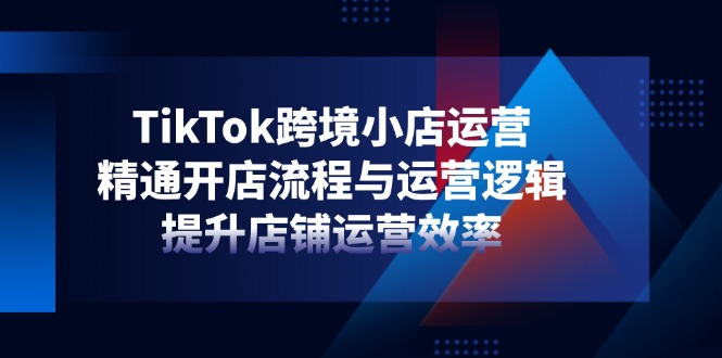 TikTok跨境小店运营，精通开店流程与运营逻辑，提升店铺运营效率-黑斯坦丁项目网