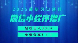 微信小程序撸广，最新风口项目，日入300+ 免费分享 可批量操作 小白可…-黑斯坦丁项目网