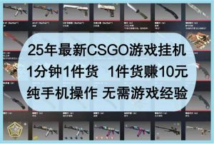 25年最新CSGO游戏挂机，1分钟1件货，1件货赚10元 纯手机操作 无需游戏经验-黑斯坦丁项目网