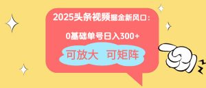 2025头条视频掘金新风口：0基础日入300+，可放大，可矩阵-黑斯坦丁项目网