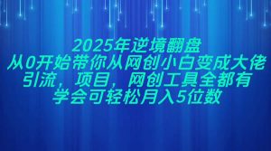 2025年逆境翻盘，从0开始带你从网创小白变成大佬，引流，项目，网创工…-黑斯坦丁项目网