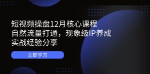 短视频操盘12月核心课程：自然流量打通，现象级IP养成，实战经验分享-黑斯坦丁项目网