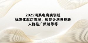 2025淘系电商实训班:标准化起店流程,智能计划与拉新,人群推广策略等等-黑斯坦丁项目网