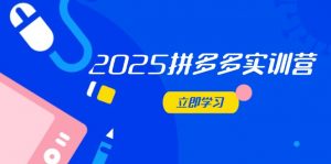 2025拼多多实训营:深度剖析运营关键,助力电商人快速提升-黑斯坦丁项目网