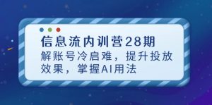 信息流内训营28期,解账号冷启难,提升投放效果,掌握AI用法-黑斯坦丁项目网