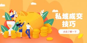 私域成交技巧，帮你从入门到精通，破解四大痛点，快速变现，轻松收钱-黑斯坦丁项目网