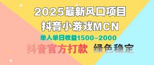 2025最新风口项目 抖音小游戏MCN 单人单日收益1500-2000+-黑斯坦丁项目网