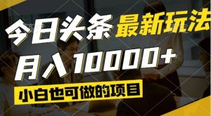 今日头条最新风口,视频掘金,小白也可月入过万,可以矩阵操作-黑斯坦丁项目网