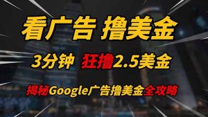 看广告，撸美金！！3分钟赚2.5美金！！日入200美金不是梦！揭秘Google…-黑斯坦丁项目网