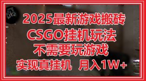 2025最新游戏搬砖，CSGO挂机，不需要玩游戏，实现真挂机，月入1W+-黑斯坦丁项目网