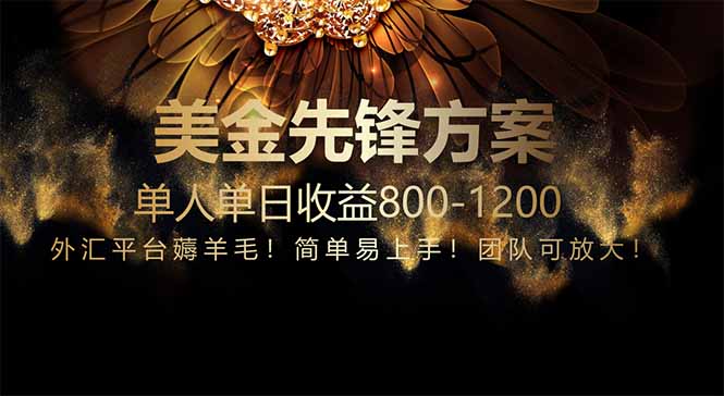 免费技术！小众赛道！一年布局抵三年努力，每日800+-黑斯坦丁项目网