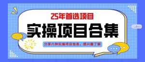 （14767期）2025年实操六大项目实操演练，挂机类型，AI直播类型，轻资产创业类型，…-黑斯坦丁项目网