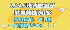 2025赚钱野路子，截屏就能赚钱？手机操作0门槛，一天躺赚600+！！！-黑斯坦丁项目网