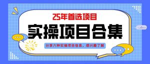 2025年实操六大项目实操演练，挂机类型，AI直播类型，轻资产创业类型，…-黑斯坦丁项目网