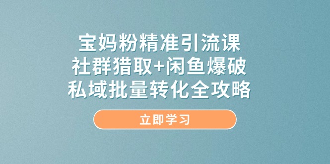 宝妈粉精准引流课，社群猎取+闲鱼爆破，私域批量转化全攻略-黑斯坦丁项目网
