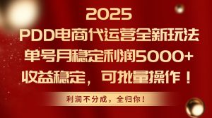 2025PDD电商代运营全新玩法，单号月稳定利润5000+，收益稳定，可批量操作-黑斯坦丁项目网