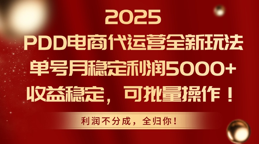 2025PDD电商代运营全新玩法，单号月稳定利润5000+，收益稳定，可批量操作-黑斯坦丁项目网