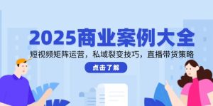 2025商业案例大全，短视频矩阵运营，私域裂变技巧，直播带货策略-黑斯坦丁项目网