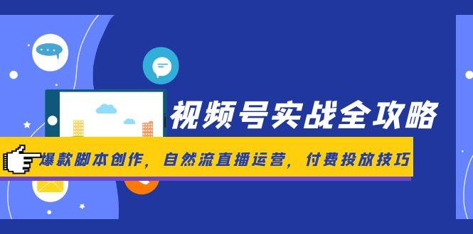 视频号实战全攻略，爆款脚本创作，自然流直播运营，付费投放技巧-黑斯坦丁项目网