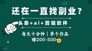头条全新玩发加持软件搬视频，每天十分钟，单个作品收入200-500左右-黑斯坦丁项目网