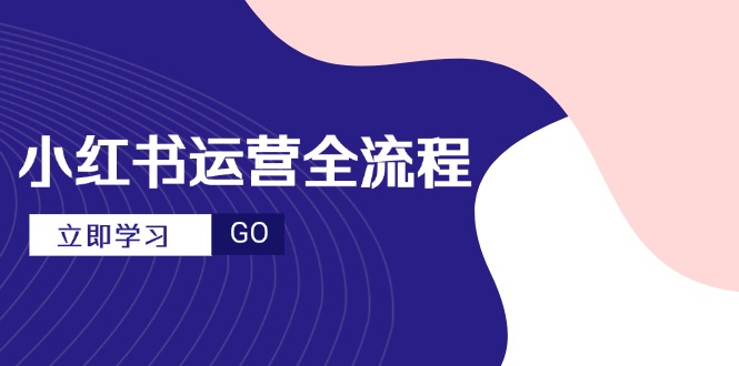 小红书运营全流程，爆款选题文案，视频制作技巧，进阶达人宝典-黑斯坦丁项目网