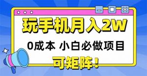 玩玩手机月入20000+，0成本小白必做项目，可矩阵-黑斯坦丁项目网