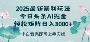 今日头条2025年最新暴利玩法，思路简单，复制粘贴，轻松实现矩阵日入3000+-黑斯坦丁项目网