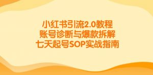 小红书引流2.0教程,账号诊断与爆款拆解,七天起号SOP实战指南-黑斯坦丁项目网