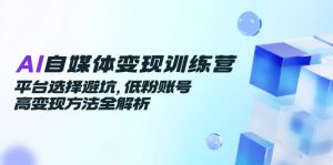 AI自媒体变现训练营，平台选择避坑，低粉账号高变现方法全解析-黑斯坦丁项目网