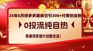 25年6月拼多多最新日引300+付费创业粉,0投流纯自热 卖课月变现六位数方法-黑斯坦丁项目网