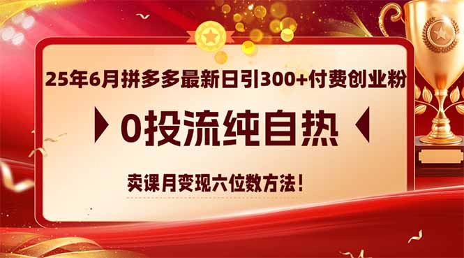25年6月拼多多最新日引300+付费创业粉，0投流纯自热 卖课月变现六位数方法-黑斯坦丁项目网
